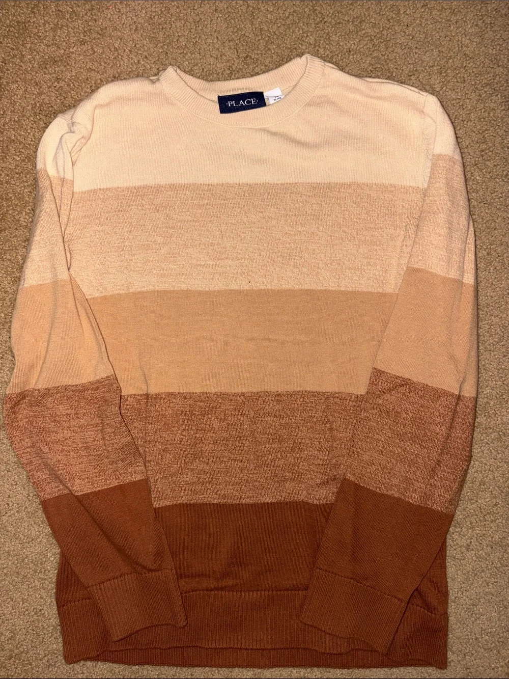 The Children's Place Men's Crewneck Sweater in Cream, Tan & Brown